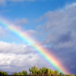 file0001443868925