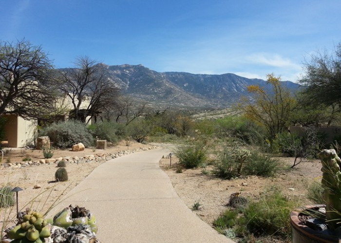 photos-20140323_134957