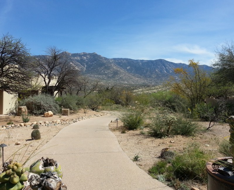 photos-20140323_134957